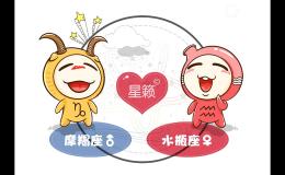 金牛座和天秤座星座的配对指数