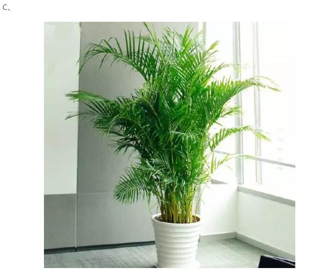 1574924431410722.jpg 9.jpg