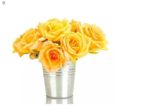 1573975097259027.jpg 02.jpg