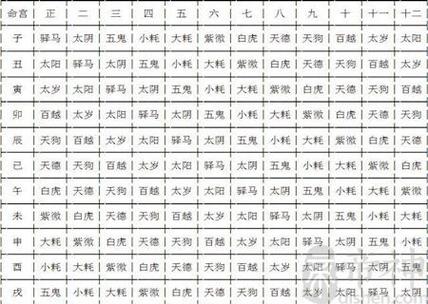 因婚姻而贵的紫微命盘