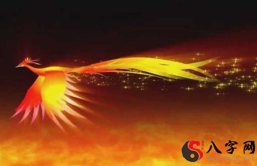 梦见凤凰翩翩飞舞