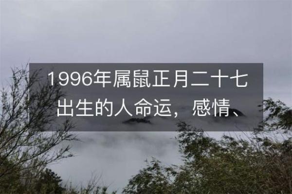 生肖鼠的命理解析:五行属性与性格特点的深度剖析 生肖鼠的命理解析:五行属性与性格特点的深度剖析