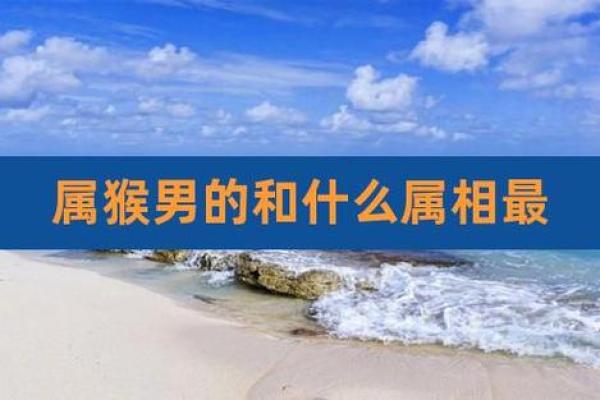 揭秘十一月猴男的命运与个性特征 揭秘十一月猴男的命运与个性特征