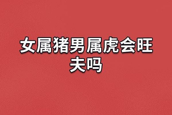 属虎火命人适合的职业与发展方向探讨 属虎火命人适合的职业与发展方向探讨