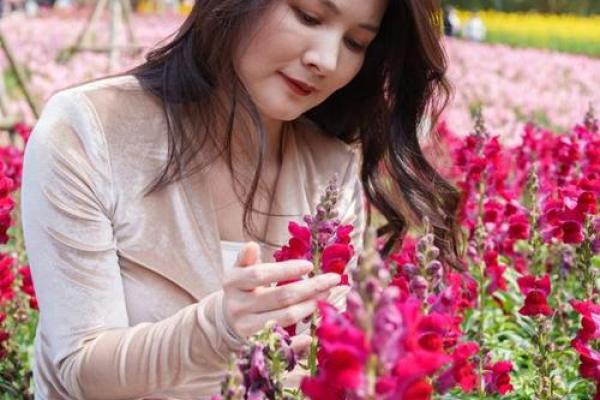 揭秘女命八字：那些注定不愁嫁的女性特征