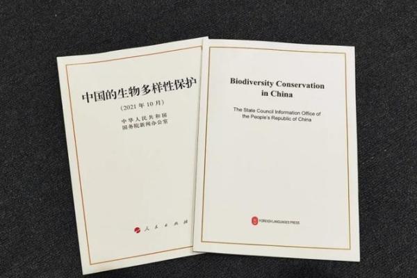 社会面清零新解:如何实现无忧生活的美好愿景 社会面清零新解:如何实现无忧生活的美好愿景