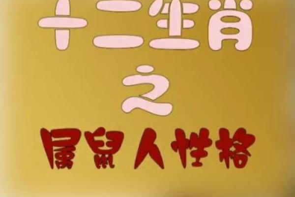 属鼠人生于末日的命理解读与人生启示 属鼠人生于末日的命理解读与人生启示