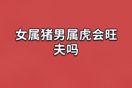 属虎火命人适合的职业与发展方向探讨