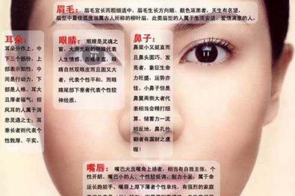 揭秘:哪种面相的女生更有旺夫运,带你了解五官的秘密! 揭秘:哪种面相的女生更有旺夫运,带你了解五官的秘密!