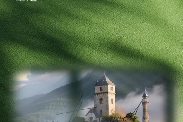 命运的引导：如何接受生活中注定的安排与挑战