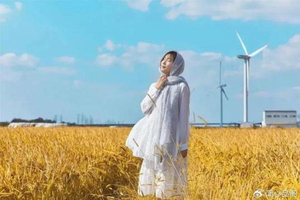 解析女明星旺夫命的秘密,她们背后的幸福故事 解析女明星旺夫命的秘密,她们背后的幸福故事