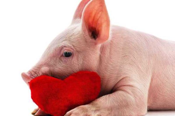 解析乙丑海中金命的性格与命运,揭示命理奥秘! 解析乙丑海中金命的性格与命运,揭示命理奥秘!