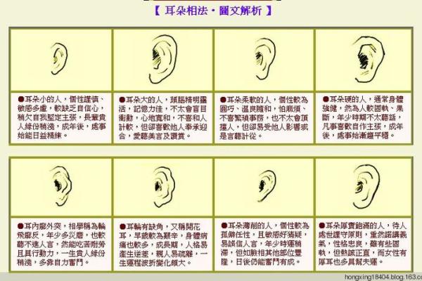 什么样耳朵是最好的命?细说耳朵的秘密与人生哲学 什么样耳朵是最好的命?细说耳朵的秘密与人生哲学