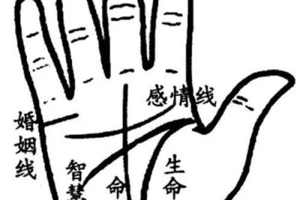 属鼠十九日出生的命运解析：财富与智慧的结合