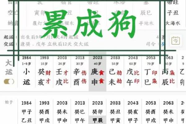 女活佛的命:承载信仰与文化的重要使命 女活佛的命:承载信仰与文化的重要使命