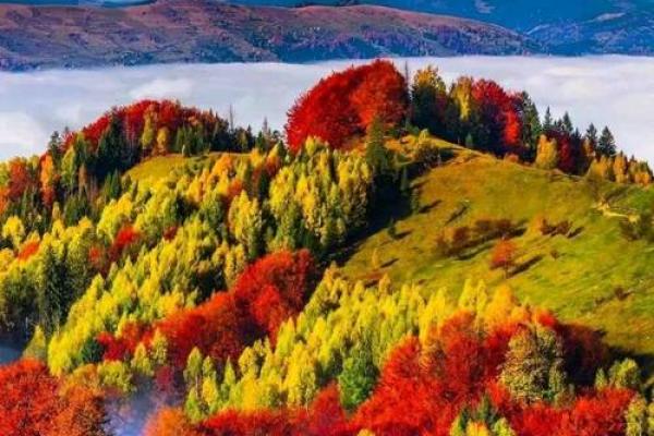 什么样的八字叫冲克命格?揭秘命理中的神秘世界 什么样的八字叫冲克命格?揭秘命理中的神秘世界