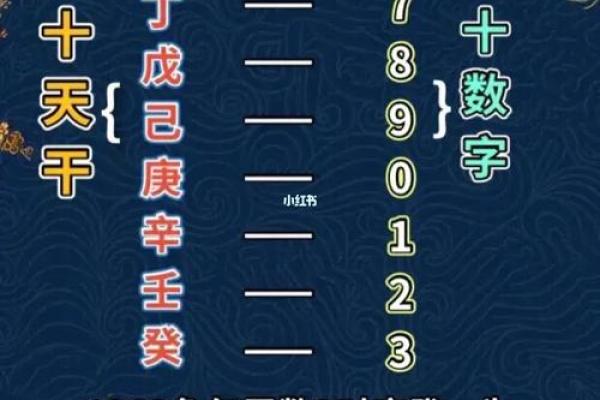 揭示八字女命中的贵气密码:探寻命理背后的财富与荣耀 揭示八字女命中的贵气密码:探寻命理背后的财富与荣耀