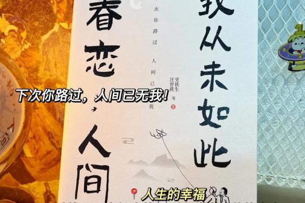 炉中火命人:温暖人生的热情与智慧 炉中火命人:温暖人生的热情与智慧