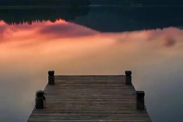 属兔一月出生的人命运解析:与众不同的生命旅程与财富机遇 属兔一月出生的人命运解析:与众不同的生命旅程与财富机遇