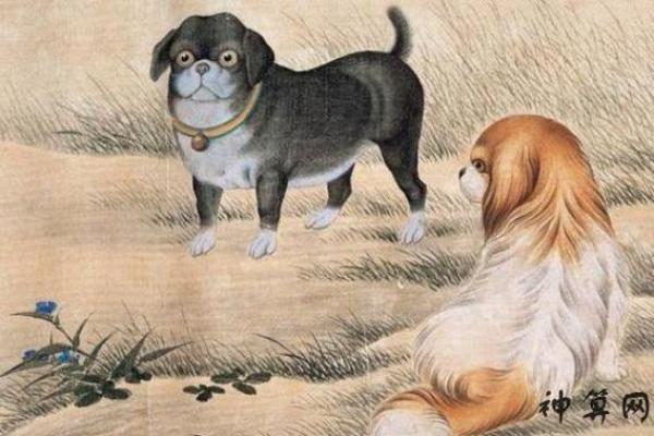 属狗沙中土命：深挖命理背后的意义与影响