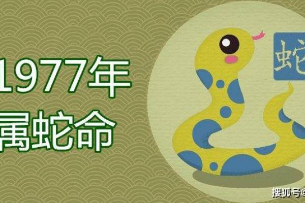 如何轻松查找自己命里属什么,揭开你的命理之谜! 如何轻松查找自己命里属什么,揭开你的命理之谜!