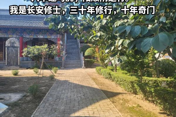 女属猴五月十二:探寻她的命理与运势之道 女属猴五月十二:探寻她的命理与运势之道