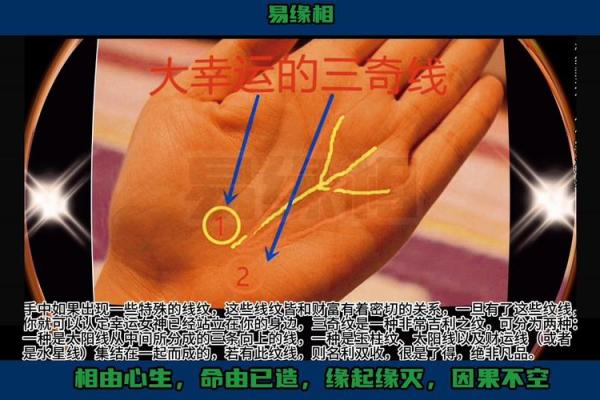 手纹线仅三条，命运揭秘：你是否别具一格？