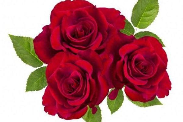 山头火命最怕的命:相生相克如何影响命运的轨迹 山头火命最怕的命:相生相克如何影响命运的轨迹