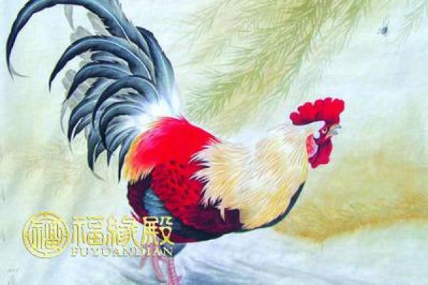 属鸡者五十四岁:命运与智慧的交汇之年 属鸡者五十四岁:命运与智慧的交汇之年