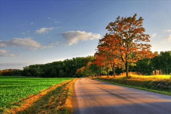 属虎二月十五出生的人命运解析与性格特征 属虎二月十五出生的人命运解析与性格特征