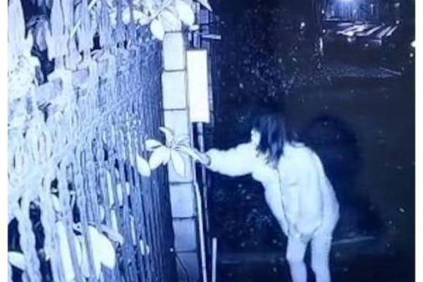 三月出生女孩的命格解析:优雅与坚韧的生命之旅 三月出生女孩的命格解析:优雅与坚韧的生命之旅