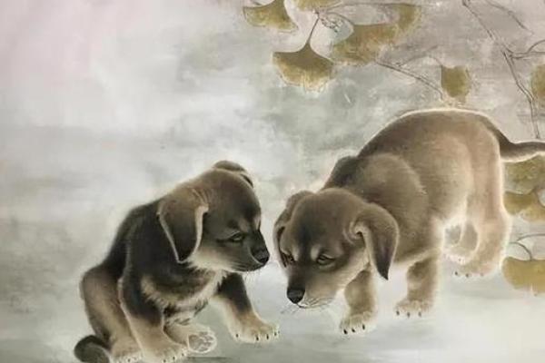 属狗人的命运解析：携手幸福，迎接美好人生