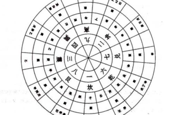 女命夫星在地支藏的智慧与启示 女命夫星在地支藏的智慧与启示