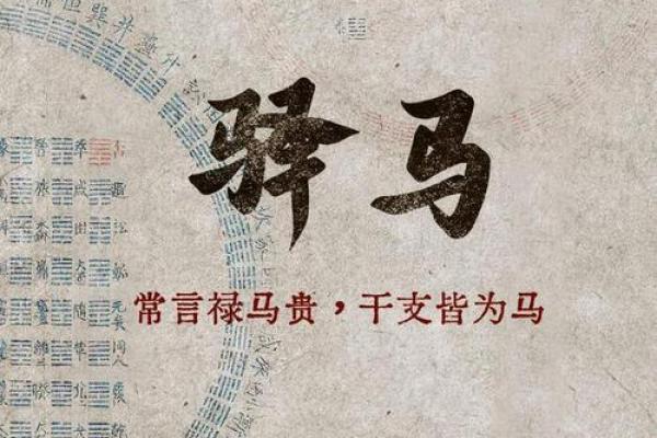 壬寅年虎命:探索五行之中的力量与魅力 壬寅年虎命:探索五行之中的力量与魅力