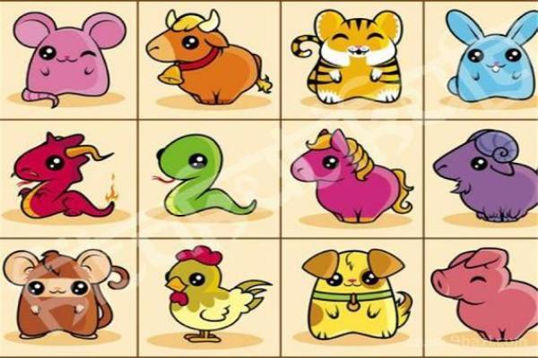 属猪木命与合适配偶的完美匹配之道