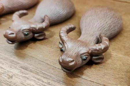 属牛农历5月初三出生的命运分析与人生智慧