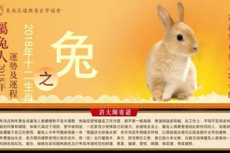 申时猴林中玩，探寻属兔人的人生奇遇