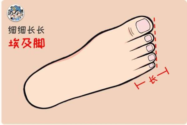 你脚是“猫脚”还是“鸭脚”？揭秘脚型与命运的搞笑关联！