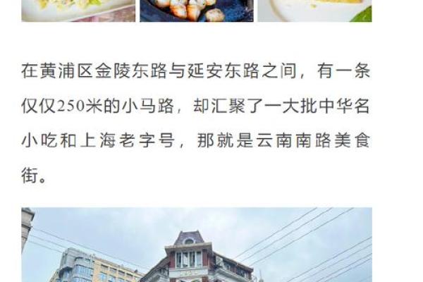 属马的人难舍难分的命运探索与人生哲学 属马的人难舍难分的命运探索与人生哲学