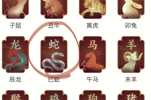 解密2023，哪个生肖女命富贵双全，财富运势大揭秘！