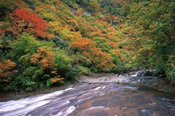 属蛇大溪水命:深邃而柔韧的人生之旅 属蛇大溪水命:深邃而柔韧的人生之旅