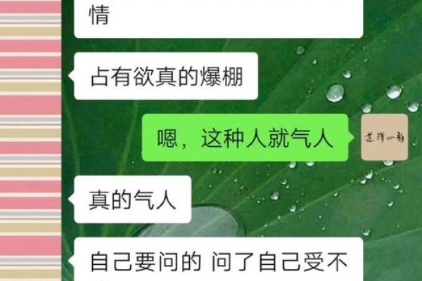命理解读:童子命与老鼠的独特关系解析 命理解读:童子命与老鼠的独特关系解析