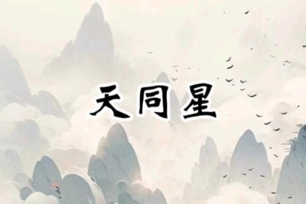 解析壬水命:五行之中的流动与柔韧 解析壬水命:五行之中的流动与柔韧