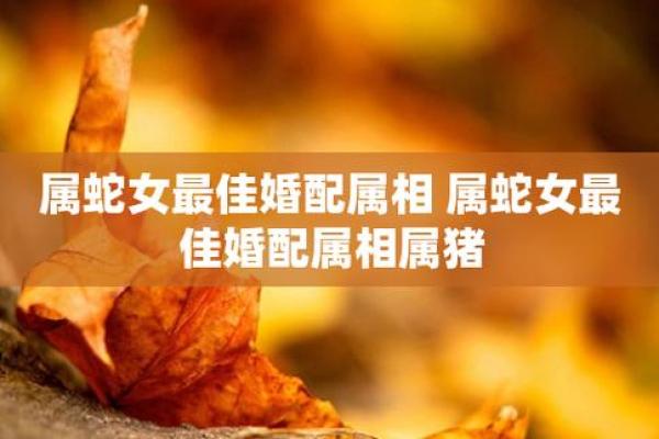 女属蛇10月初八,生命密码与性格探秘 女属蛇10月初八,生命密码与性格探秘