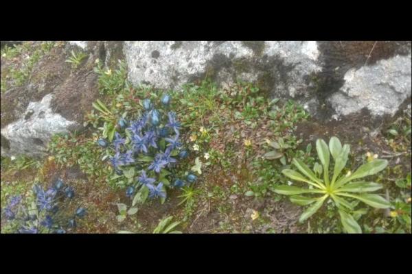 女属蛇10月初八,生命密码与性格探秘 女属蛇10月初八,生命密码与性格探秘