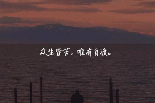 拼了命的控制自己——在孤独与探索中找到自我 拼了命的控制自己——在孤独与探索中找到自我