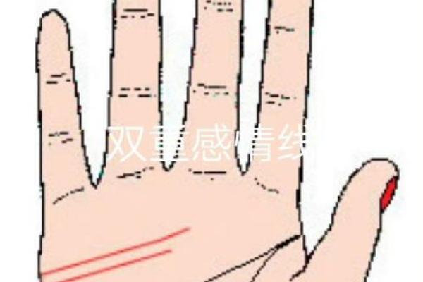 手相解析:探秘掌中线条背后的命运与人生奥秘 手相解析:探秘掌中线条背后的命运与人生奥秘