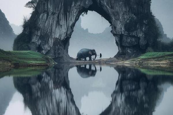 解析适合男大林木命者的理想伴侣,打造幸福人生的秘笈! 解析适合男大林木命者的理想伴侣,打造幸福人生的秘笈!