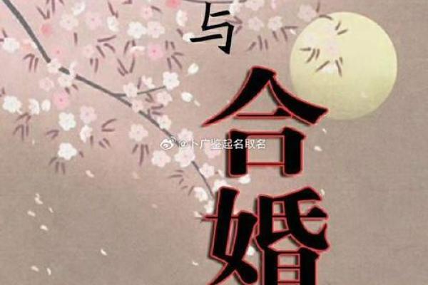 如何选择合适的命理,助力幸福夫妻关系的秘诀 如何选择合适的命理,助力幸福夫妻关系的秘诀