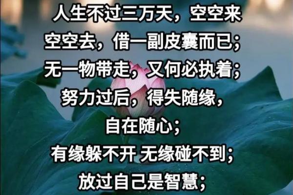 菩萨命格:与生俱来的慈悲与智慧之人 菩萨命格:与生俱来的慈悲与智慧之人